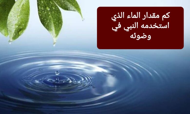 كم مقدار الماء الذي استخدمه النبي في وضوئه