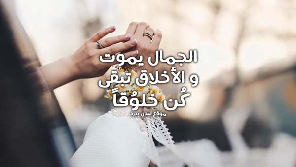 كلام حلو من اجمل كلام حلو عن كل شيء 2 كلام حلو من اجمل كلام حلو عن كل شيء 1