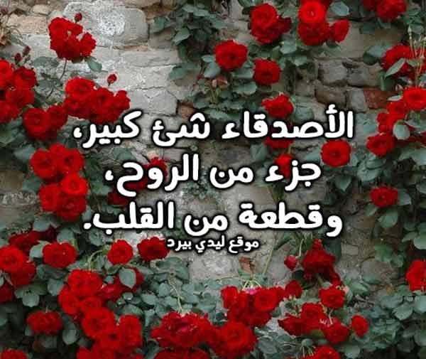 كلام حلو من اجمل كلام حلو عن كل شيء 5 كلام حلو من اجمل كلام حلو عن كل شيء 4