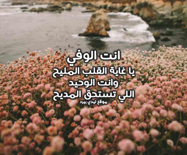 كلام حلو من اجمل كلام حلو عن كل شيء 4 كلام حلو من اجمل كلام حلو عن كل شيء 3