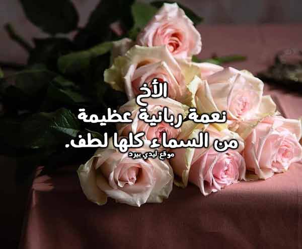 كلام حلو من اجمل كلام حلو عن كل شيء 16 كلام حلو من اجمل كلام حلو عن كل شيء 10