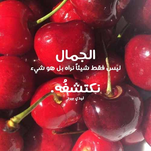 كلام حلو من اجمل كلام حلو عن كل شيء 18 كلام حلو من اجمل كلام حلو عن كل شيء 12