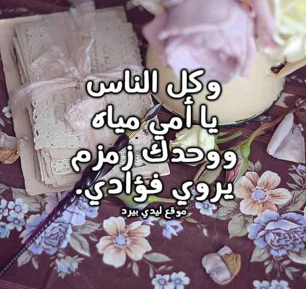 كلام حلو من اجمل كلام حلو عن كل شيء 14