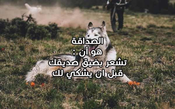 كلام حلو من اجمل كلام حلو عن كل شيء 21 كلام حلو من اجمل كلام حلو عن كل شيء 15