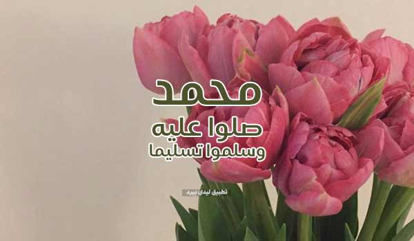 عبارات صلو على رسول الله 2 صلوا على النبي في المولد النبوي