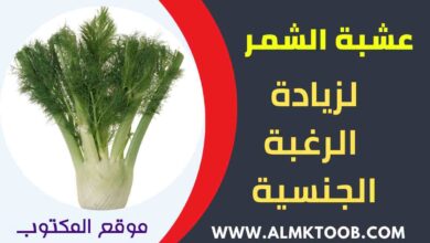 فوائد عشبة الشمر