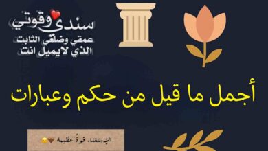 أجمل ما قيل من العبارات