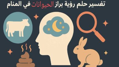 تفسير روث الغنم في المنام