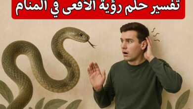 تفسير حلم رؤية الأفعى في المنام