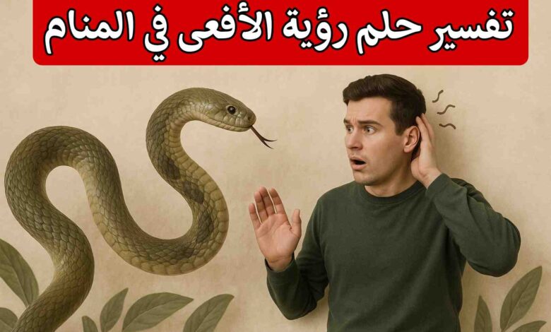 تفسير حلم رؤية الأفعى في المنام