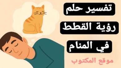 تفسير حلم رؤية القطط في المنام