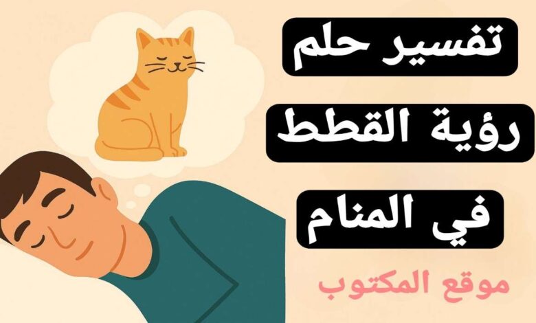 تفسير حلم رؤية القطط في المنام