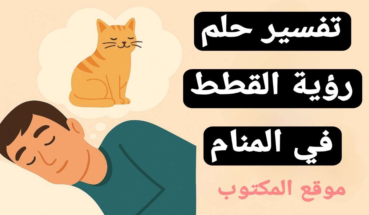 تفسير حلم رؤية القطط في المنام