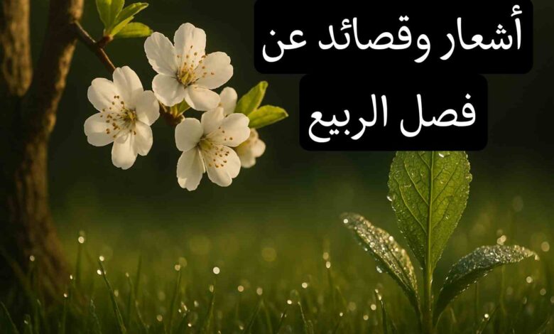 قصيدة عن فصل الربيع