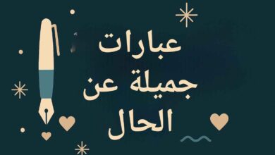 حكم وعبارات عن حال الدنيا