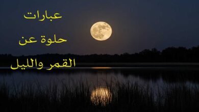 عبارات عن القمر قصيرة