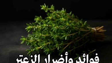 فوائد الزعتر للمعدة والقولون