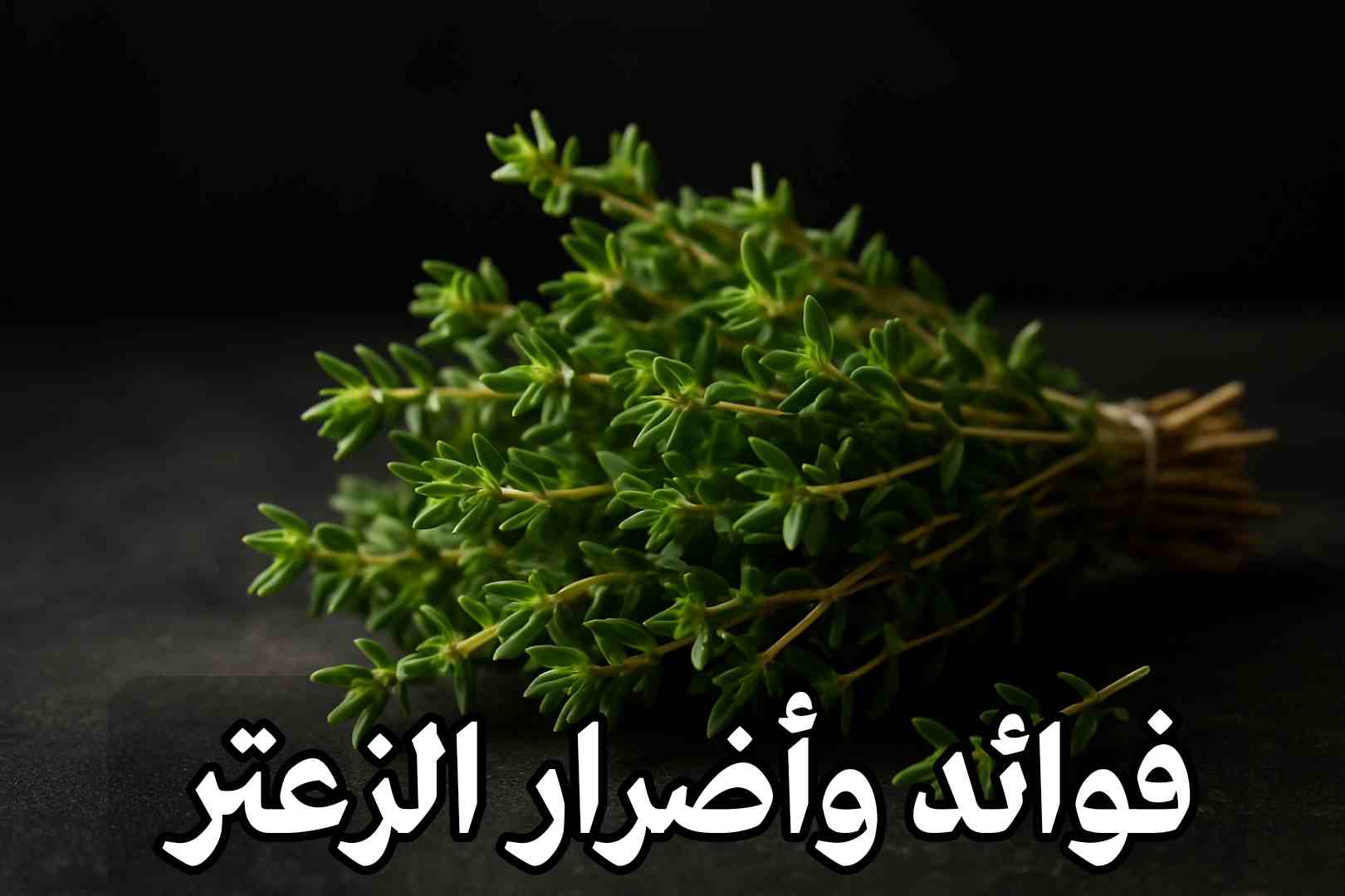 فوائد الزعتر للمعدة والقولون