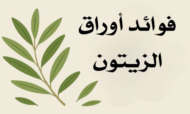 فوائد ورق الزيتون للجنس