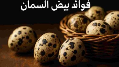 فوائد وأضرار بيض السمان