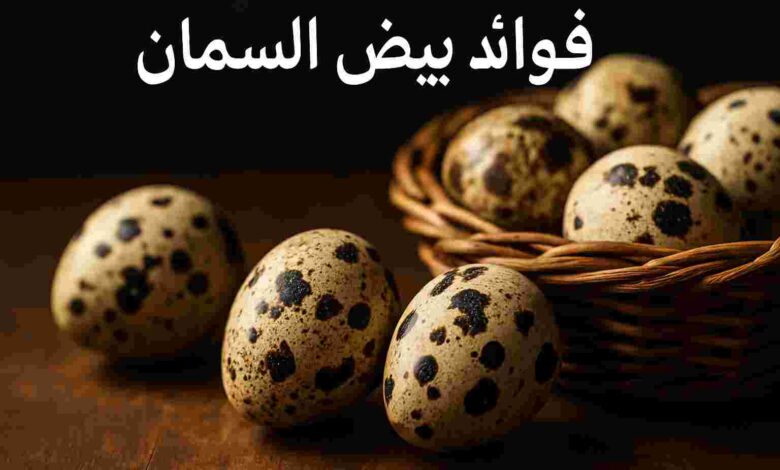 فوائد وأضرار بيض السمان