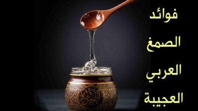 فوائد تلصمغ العربي للكلى والقولون