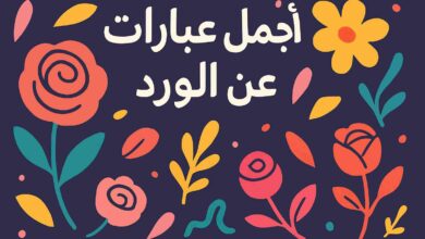 كلام حلو عن الورد قصير