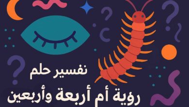 رؤية أم أربعة وأربعين في المنام