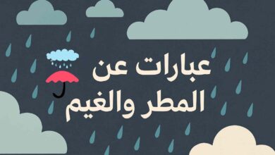 كلام عن المطر قصير