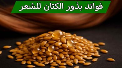 بذور الكتان للشعر وطريقة الاستخدام