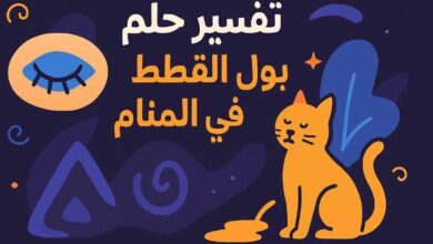 رؤية بول القطط في المنام