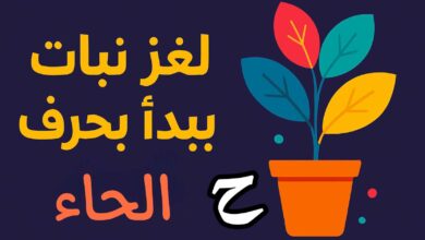 نباتات تبدأ بحرف الحاء