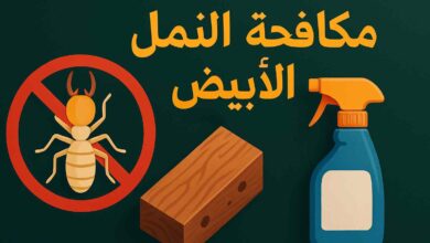 شركة مكافحة النمل الابيض الدفان